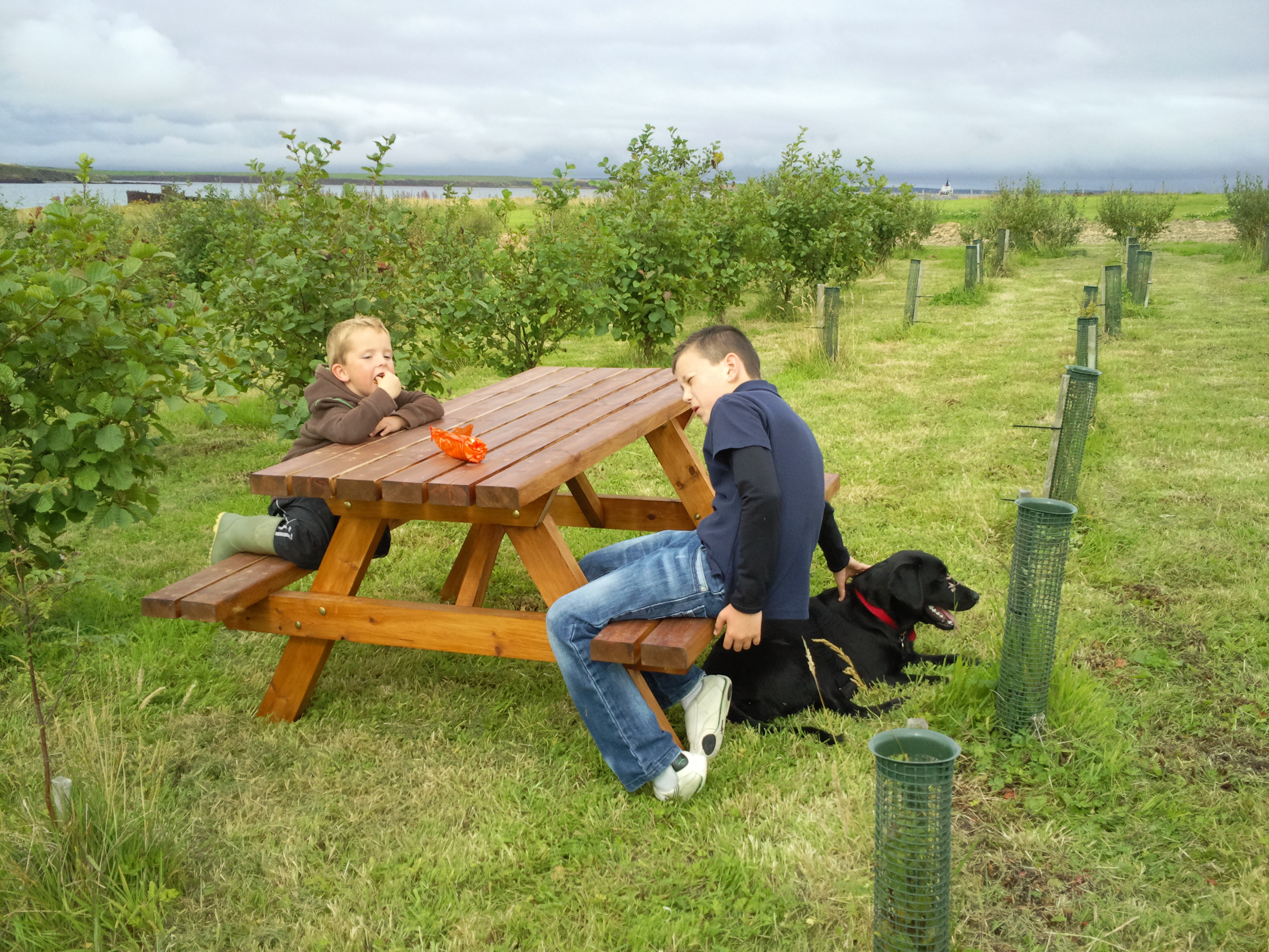 Picnic Area